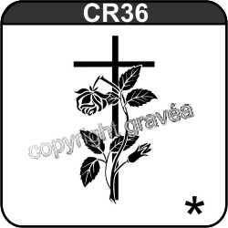 CR36