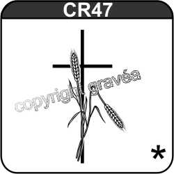 CR47
