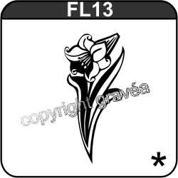 FL13