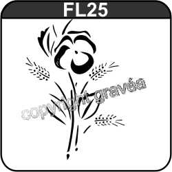 FL25
