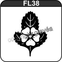 FL38