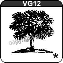 VG12