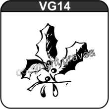 VG14